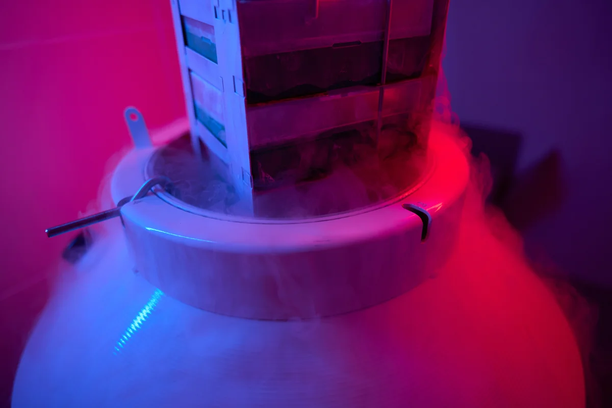 Egg freezing