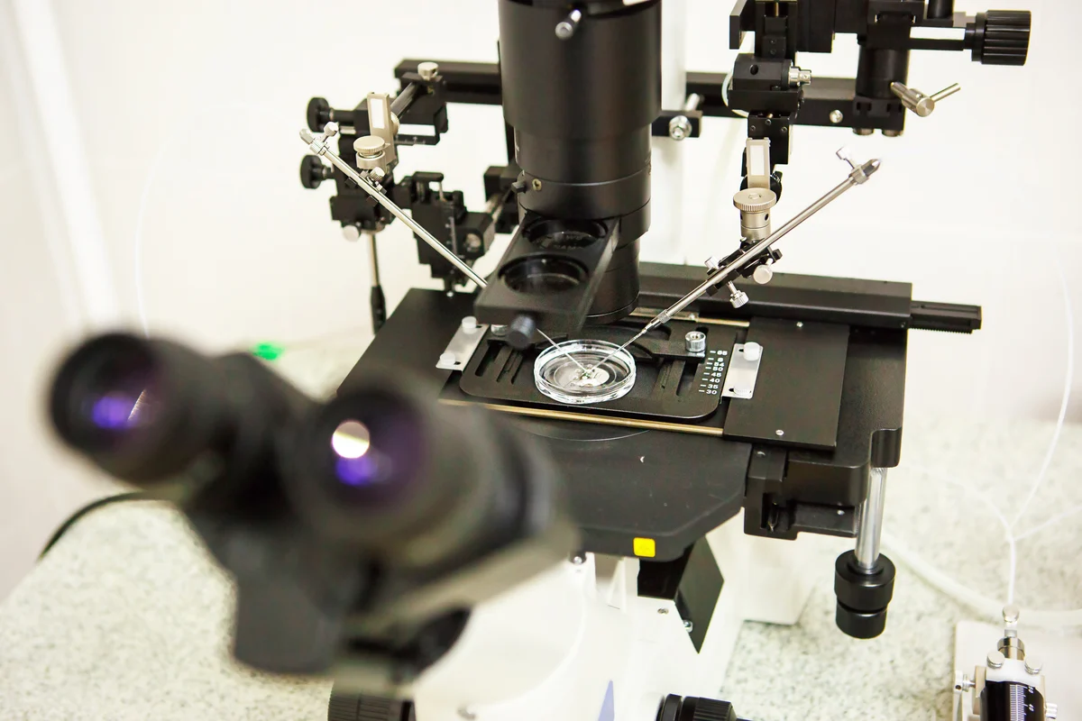 Embryo donation